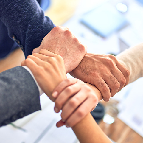 FH至尊·(中国)有限公司官网