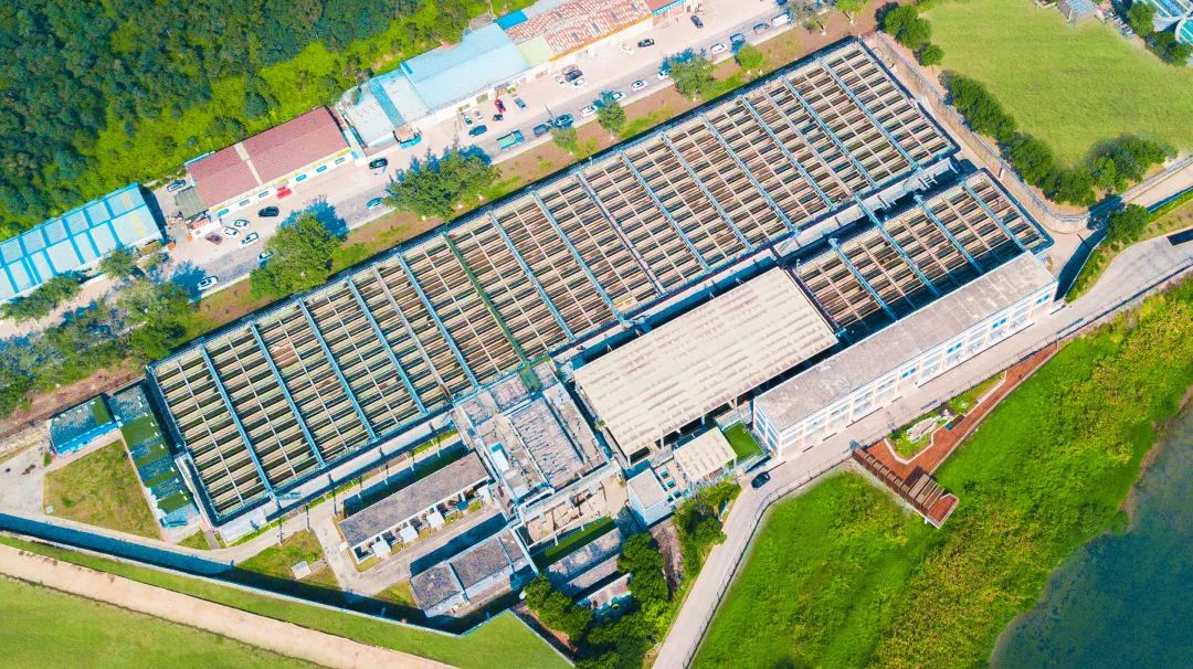 FH至尊·(中国)有限公司官网