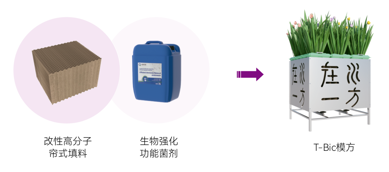 FH至尊·(中国)有限公司官网