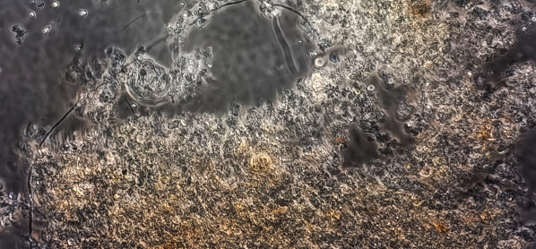 FH至尊·(中国)有限公司官网