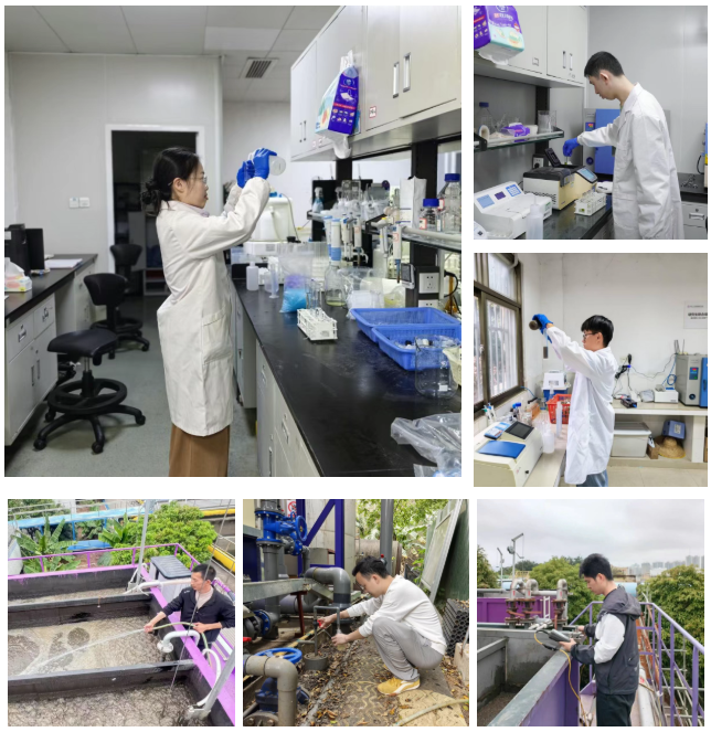 FH至尊·(中国)有限公司官网